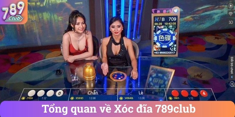 Tong quan ve Xoc dia 789club Tổng quan về Xóc đĩa 789club